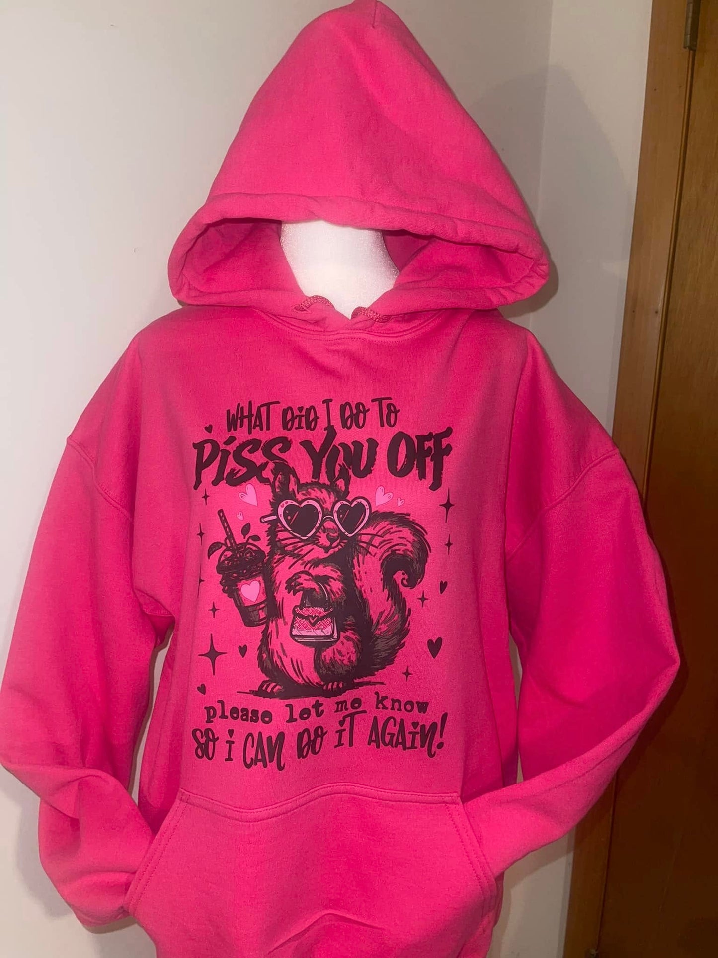 What Did I Do to Pi** you off Hoodie